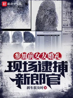 《参加前女友婚礼,现场逮捕新郎官》小说封面