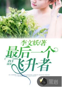 《最后一个飞升者》小说封面