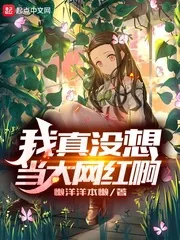 《我真没想当大网红啊》小说封面