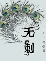 《无刺》小说封面