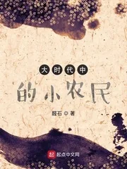《大时代中的小农民》小说封面