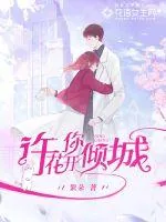 《许你花开倾城》小说封面