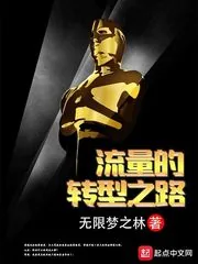 《流量的转型之路》小说封面