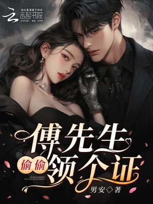 《傅先生，偷偷领个证》小说封面