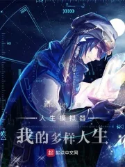 《人生模拟器：我的多样人生》小说封面