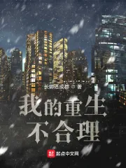 《我的重生不合理》小说封面