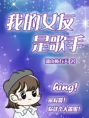 《我的女友是歌手》小说封面