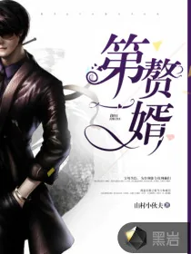 《第一赘婿》小说封面