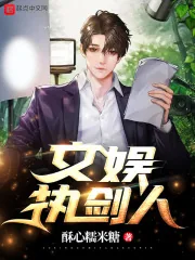 《文娱执剑人》小说封面