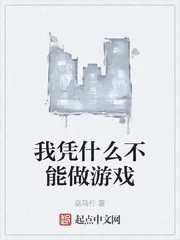 《我凭什么不能做游戏》小说封面