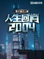 《人生回档2004》小说封面