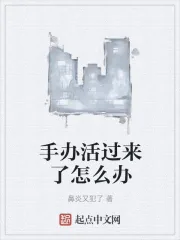 《手办活过来了怎么办》小说封面