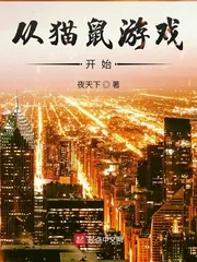 《从猫鼠游戏开始》小说封面