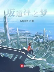 《坂道神之梦》小说封面