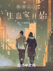 《韩娱从人生赢家开始》小说封面