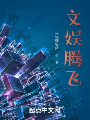 《文娱腾飞》小说封面