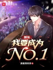 《娱乐：我要成为NO1》小说封面