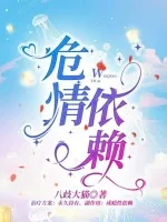 《危情依赖》小说封面