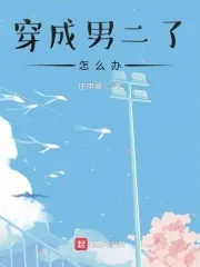 《穿成男二了怎么办》小说封面