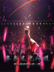 《半岛星光闪耀》小说封面