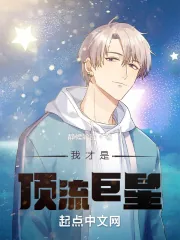 《我才是顶流巨星！》小说封面