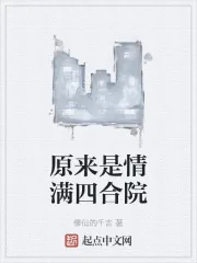 《原来是情满四合院》小说封面