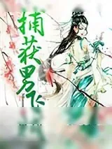 《捕获男飞贼》小说封面