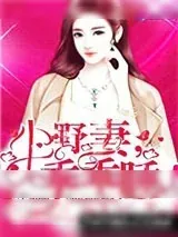 《小野妻，乖乖睡！》小说封面