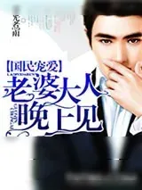 《国民宠爱：老婆大人晚上见》小说封面