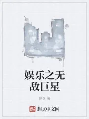 《娱乐之无敌巨星》小说封面