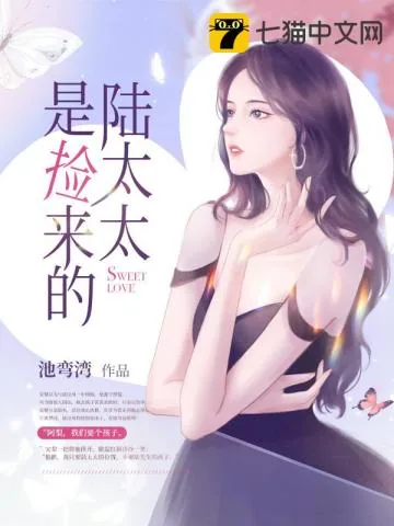 《陆太太是捡来的》小说封面