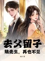 《去父留子，陆先生，再也不见！》小说封面