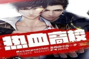 《热血高校》小说封面