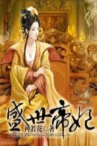 《盛世帝妃》小说封面