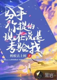 《分手你提的，现在说是考验我？》小说封面