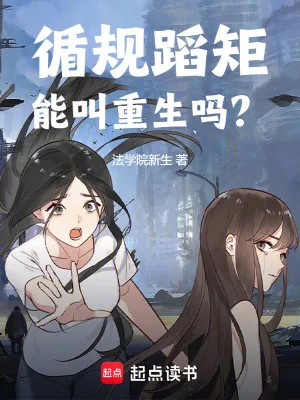《循规蹈矩能叫重生吗？》小说封面