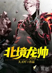 《北境龙帅》小说封面