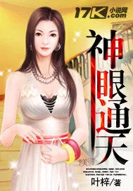 《神眼通天》小说封面