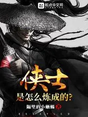 《侠士是怎么炼成的》小说封面