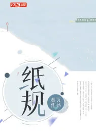 《纸规》小说封面