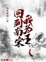 《回到南宋我为王》小说封面