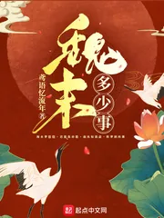 《魏末多少事》小说封面