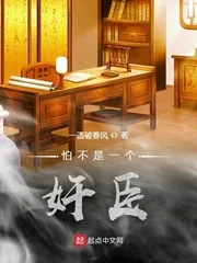 《怕不是一个奸臣》小说封面