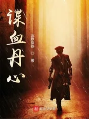 《谍血丹心》小说封面