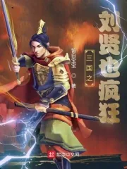 《三国之刘贤也疯狂》小说封面