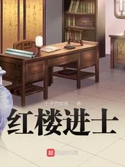 《红楼进士》小说封面