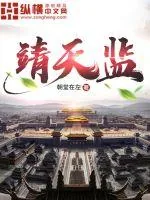 《靖天监》小说封面