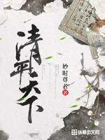 《清平天下》小说封面