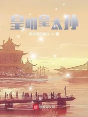 《皇明皇太孙》小说封面