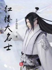 《红楼大名士》小说封面
